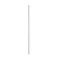 Individual Stainless Steel & Glass Straws for Mason Jars
