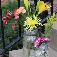 Galvanized metal frog / flower organizer lids with chicken wire for regular and wide mouth Mason jars with flowers