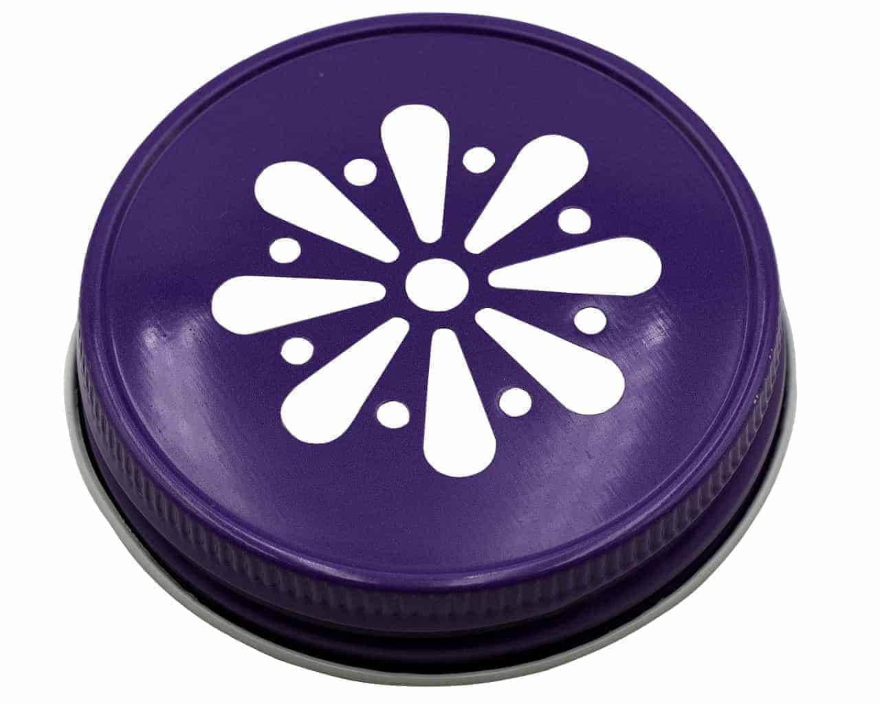 https://masonjarlifestyle.com/cdn/shop/files/purple-daisy-lid-regular-mouth-mason-jar-made-in-usa.jpg?v=1695765523&width=1280