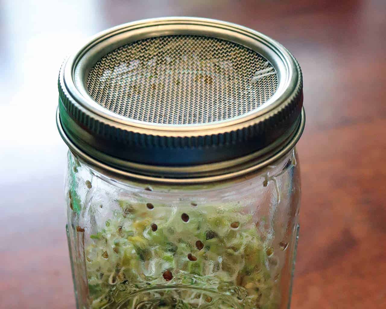 stainless-steel-mesh-sprouting-lid-band-growing-sprouts-wide-mouth-quart-mason-jar-closeup