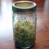 stainless-steel-mesh-sprouting-lid-band-growing-sprouts-wide-mouth-quart-mason-jar