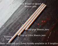 Safer rounded end stainless steel metal reusable straws in three lengths