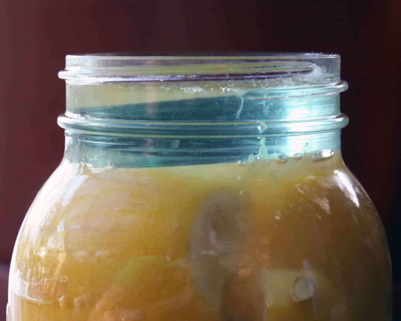 Moroccan preserved lemons in half gallon Ball Mason jar with tempered glass fermentation weight