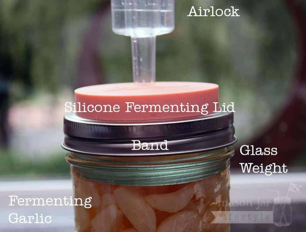 Details about    4 Plastic Fermenting Screw Lid w/Airlocks Fermentation for Wide Mouth Mason Jar 