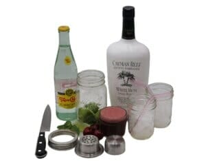 Mason-Jar-Lifestyle-Valentines-Day-Galentine-Palentine-cherry-lime-mint-rum-mojito-cocktail-shaker-half-pint-jars-pink-bent-glass-straws