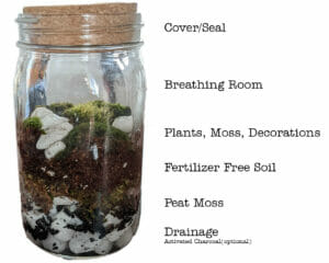 mason jar lifestyle DIY how to create your own terrarium using a mason jar natural items and cork lid stopper